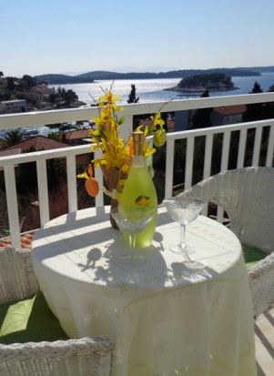 Villa Zorana